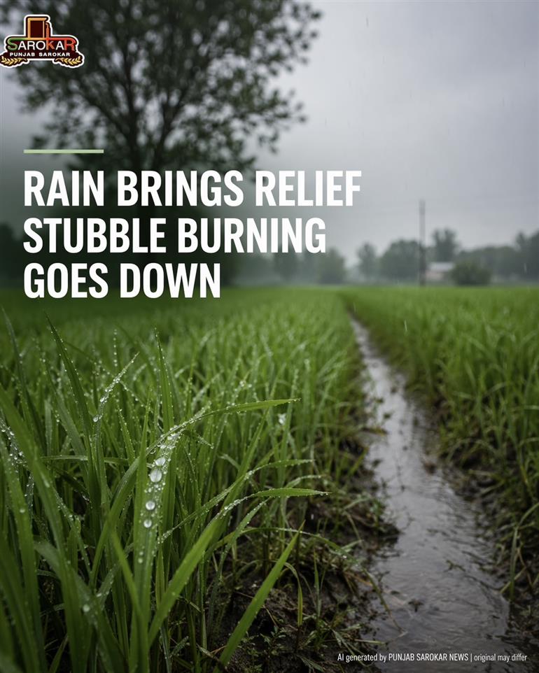 ਮੀਂਹ ਨੇ ਬਚਾਈ ਪੰਜਾਬ ਦੀ ਹਵਾ, ਪਰਾਲੀ ’ਤੇ ਸਿਸਟਮ ਫਿਰ ਫੇਲ੍ਹ