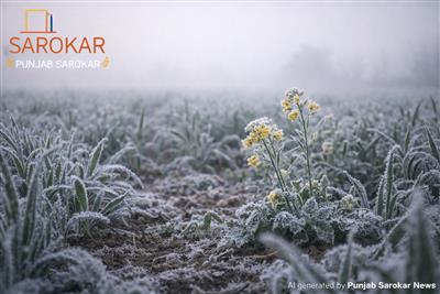 ਸਰਦੀਆਂ ‘ਚ ਕਿਸਾਨਾਂ ਲਈ ਨਵੀਂ ਮੁਸ਼ਕਲ: ਫ਼ਸਲਾਂ ‘ਤੇ ਪਾਲੇ ਦਾ ਅਸਰ, ਖੇਤੀ ਮਾਹਿਰਾਂ ਦੀ ਚੇਤਾਵਨੀ
