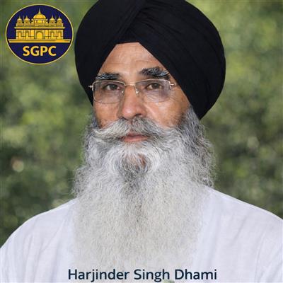 ਸੱਜਣ ਕੁਮਾਰ ਨੂੰ ਬਰੀ ਕਰਨ 'ਤੇ  SGPC ਨਾਖ਼ੁਸ਼ : ਧਾਮੀ ਨੇ ਕਿਹਾ 