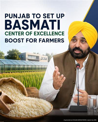 ਫਸਲੀ ਵਿਭਿੰਨਤਾ ਨੂੰ ਵੱਡਾ ਹੁਲਾਰਾ: ਪੰਜਾਬ ਵਿੱਚ ਬਾਸਮਤੀ ਦਾ ‘ਸੈਂਟਰ ਆਫ਼ ਐਕਸੀਲੈਂਸ’ ਬਣੇਗਾ – Bhagwant Singh Mann